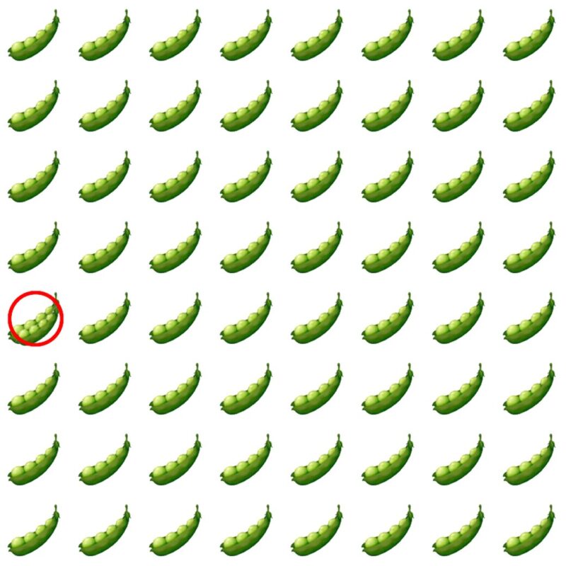 Picture Quiz 4 solution