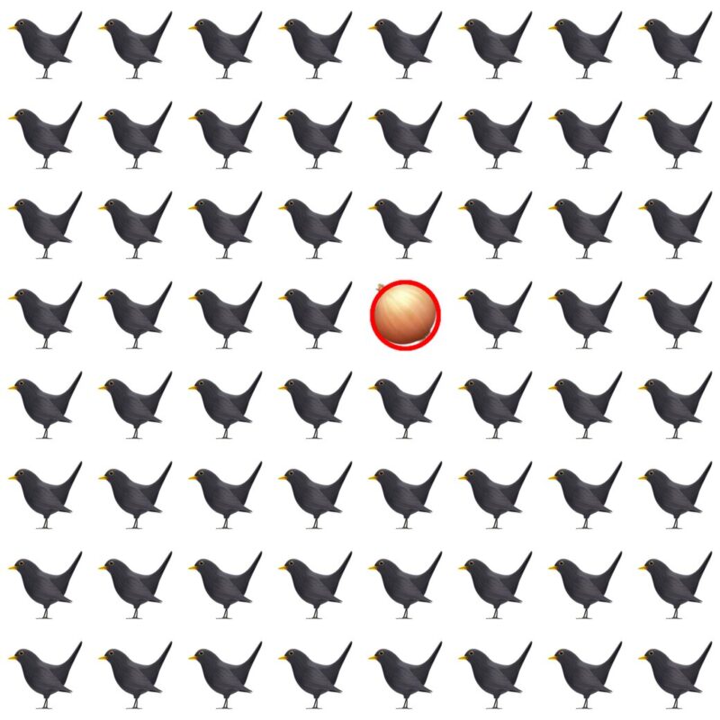 Picture Quiz 4 solution