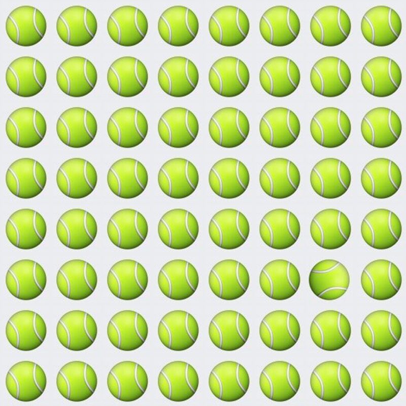 Picture Quiz 4