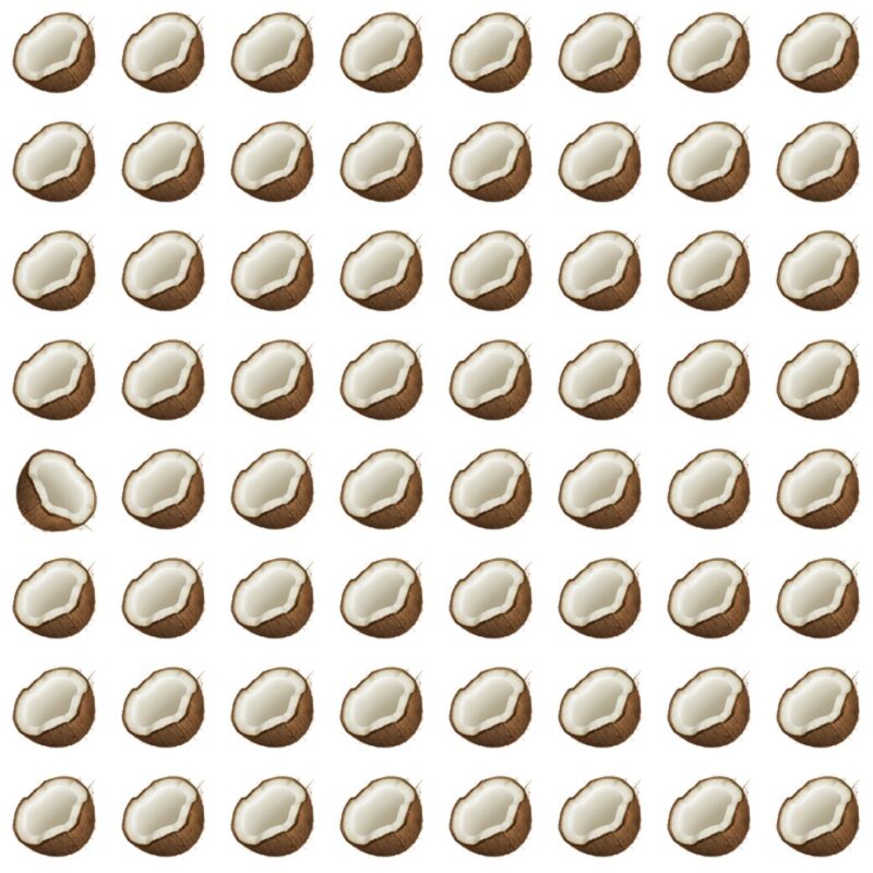 Picture Quiz 4